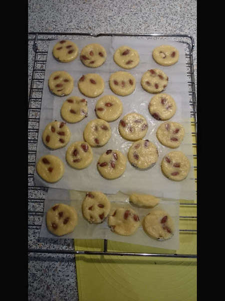 fichier tmp_16504-DSC_01901243244621_resized-0.jpg