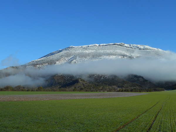 fichier 20170326_0941_003d993_route_montagne_enneigee-0.jpg