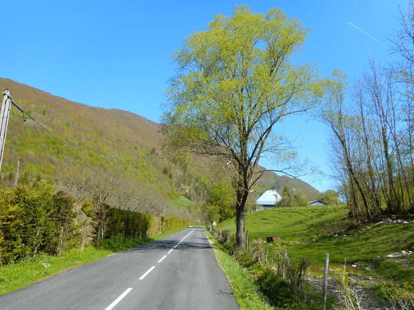 fichier 20170422_1132_002d991_route_chezery_forens-0.jpg