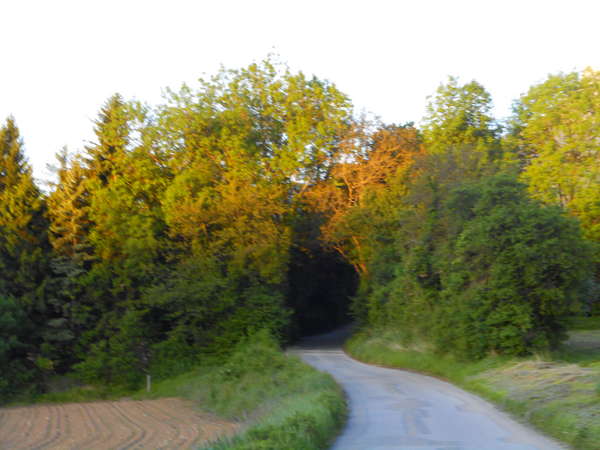 fichier 20170517_0637_002cv_route_avant_montee-0.jpg