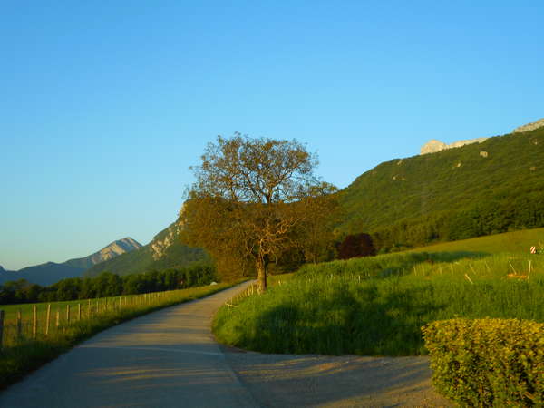 fichier 20170517_0644_003cv_route-0.jpg