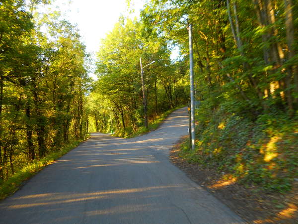 fichier 20170517_0654_002cv_route_carrefour_allee_des_chenes-0.jpg