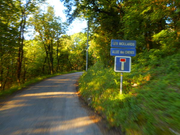 fichier 20170517_0654_003cv_route_allee_des_chenes-0.jpg