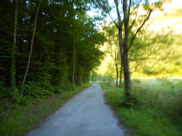 fichier 20170517_0656_003cv_route-0.jpg