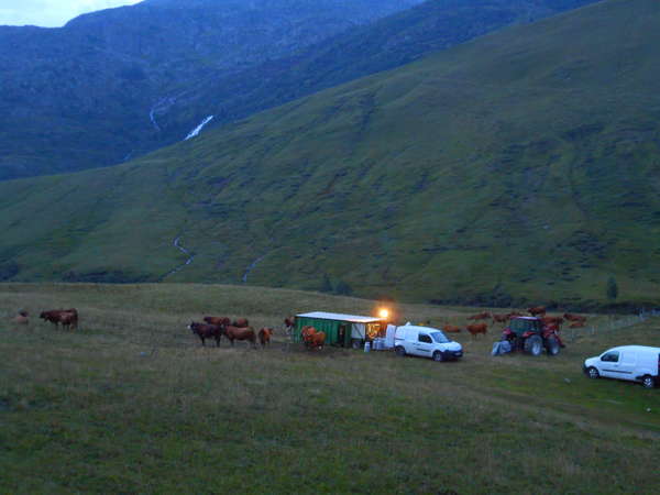 fichier 20170723_0601_002d526_route_traite_des_vaches-0.jpg