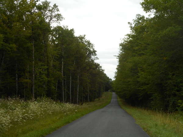 fichier 20170929_1040_d92_route_foret-0.jpg