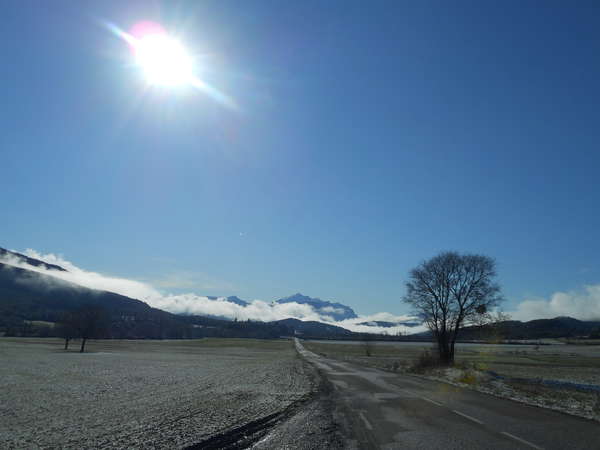 fichier 0400_20170326_0954_003d993_route_arbre_0102-0.jpg