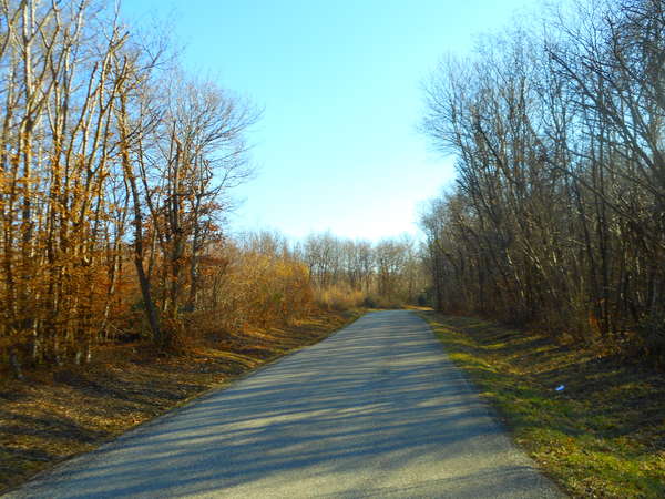 fichier 20180131_1432_d121_route-0.jpg