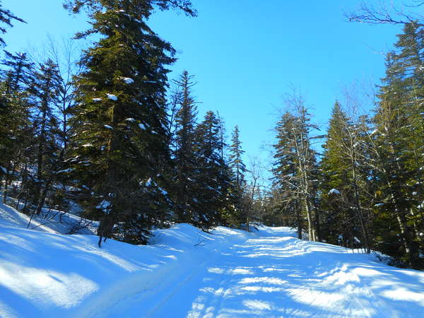 fichier 20180304_1056_transvercors_54k_rf_charbonnieres-0.jpg