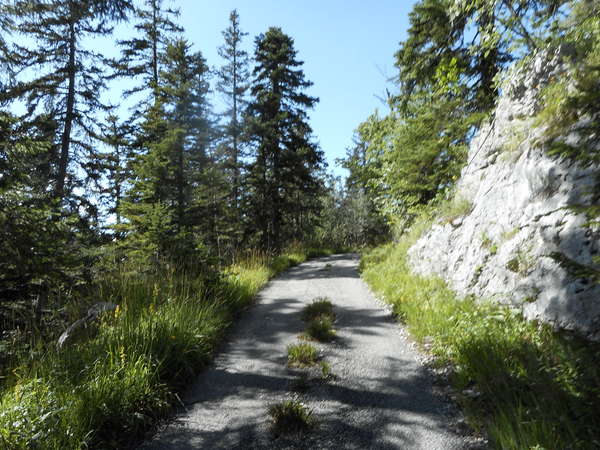 fichier 20180304_1057_20160821_1607_003rf_charbonnieres_route-0.jpg