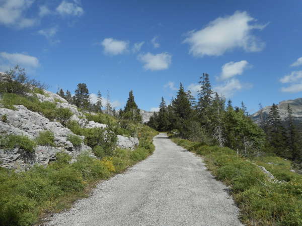 fichier 20180304_1115_20160821_1621_001rf_charbonnieres_route-0.jpg