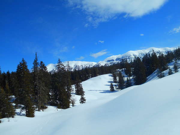 fichier 20180304_1126_003transvercors_54k_pre_rateau_derriere-0.jpg