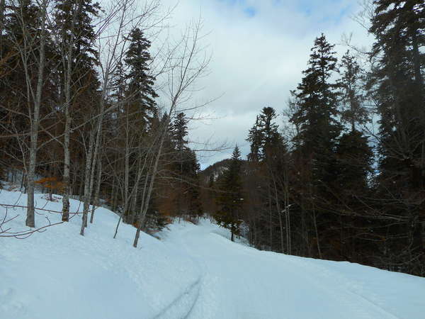 fichier 20180304_1208_transvercors_54k_rf_bachassons-0.jpg