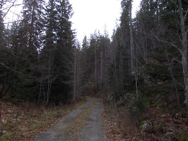 fichier 20180304_1218_DSCN3787_montee_col_de_la_berche-0.jpg