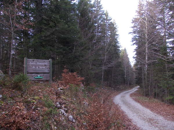 fichier 20180304_1238_DSCN3796_rf_sarna-0.jpg