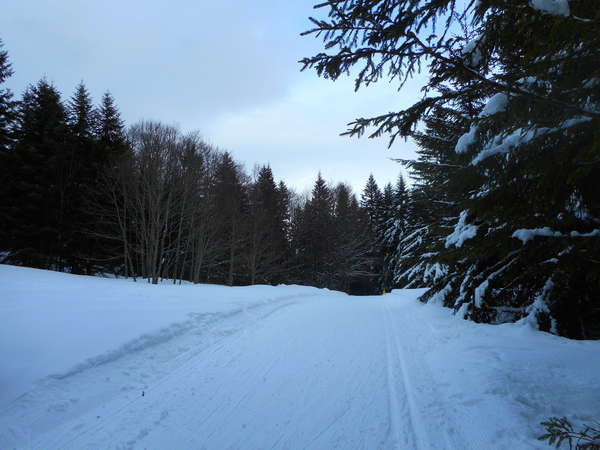 fichier 20180304_1609_transvercors_54k_col_sambuis-0.jpg