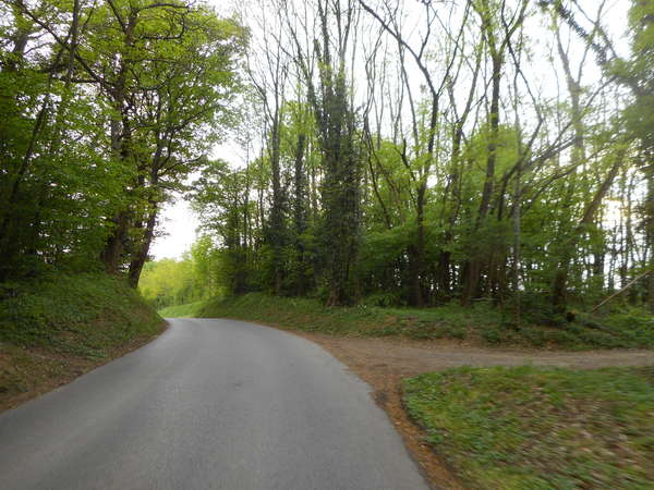 fichier 20180428_1933_d77_route_bettant_sommet_cote-0.jpg