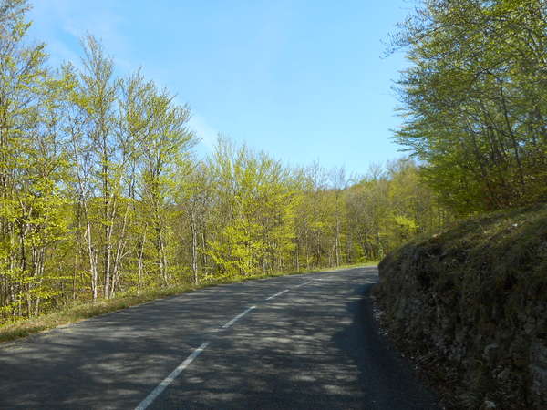 fichier 20180418_1138_001d991_route-0.jpg