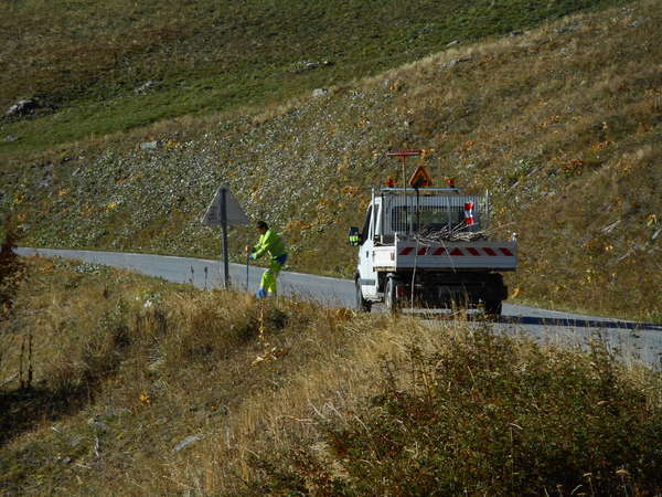 fichier 20181004_1004_003d902_route_dde_plante_batons-0.jpg