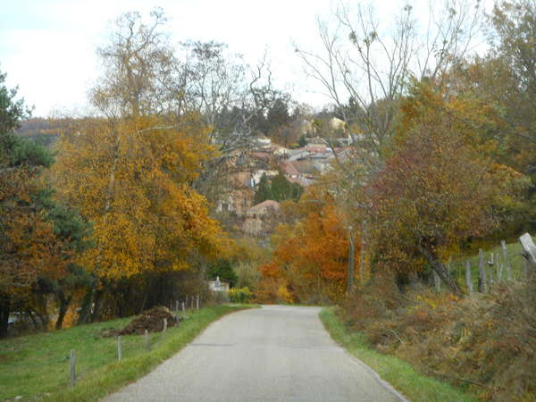 fichier 0100_0020_20181111_1508_001d20f_route_vue_roybon-0.jpg