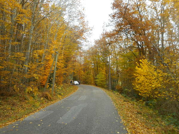 fichier 0300_0020_20181111_1528_002d156_route-0.jpg