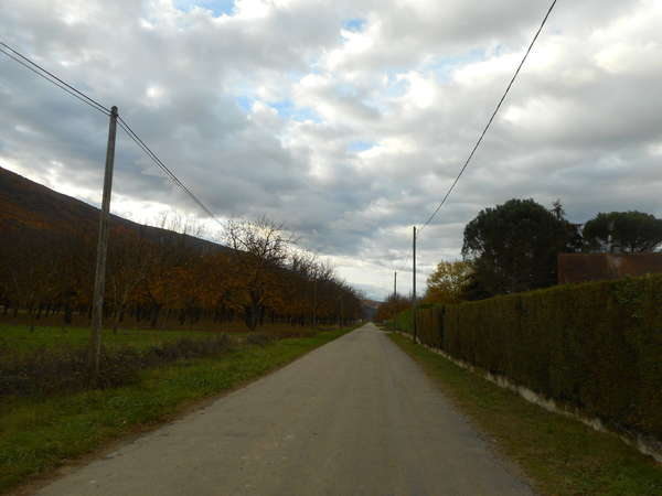 fichier 20181111_1013_003d22a_route_les_brosses-0.jpg