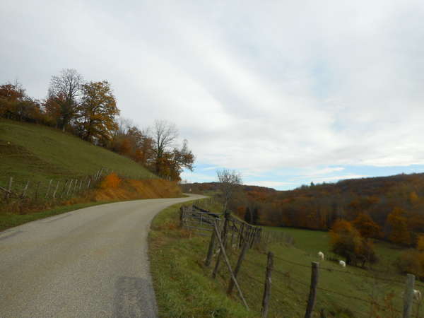 fichier 20181111_1523_002d156_route-0.jpg