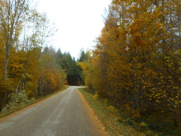 fichier 20181111_1536_d156_route-0.jpg