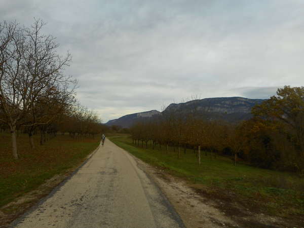 fichier 20181111_1648_001d35b_route-0.jpg