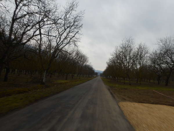 fichier 20190210_0836_001d22a_route-0.jpg