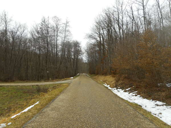 fichier 20190210_1307_d20f_route-0.jpg