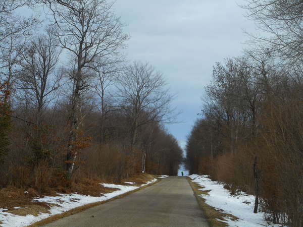 fichier 20190210_1401_d156_route_avant_les_bois_de_la_cour-0.jpg