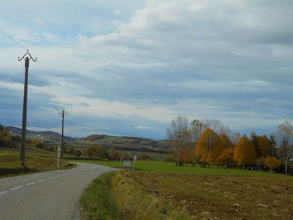 fichier 20181111_1138_004d125_route-0.jpg