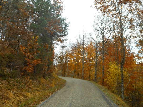 fichier 20181111_1454_d20f_route-0.jpg