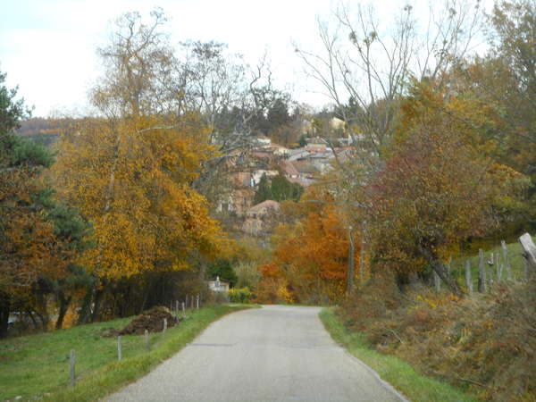 fichier 20181111_1508_001d20f_route_vue_roybon-0.jpg