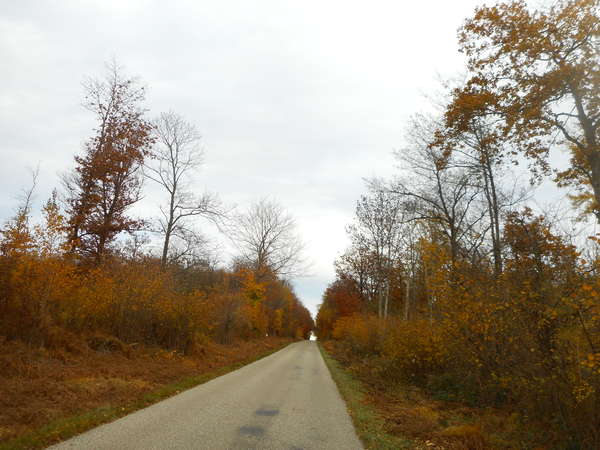 fichier 20181111_1544_003d156_route-0.jpg