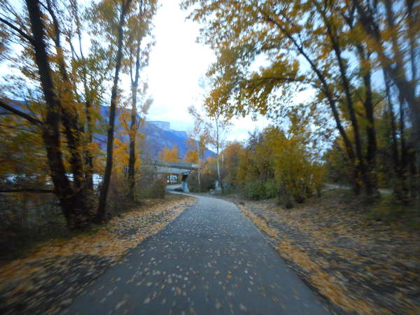 fichier 20181111_0835_003pc_route-0.jpg