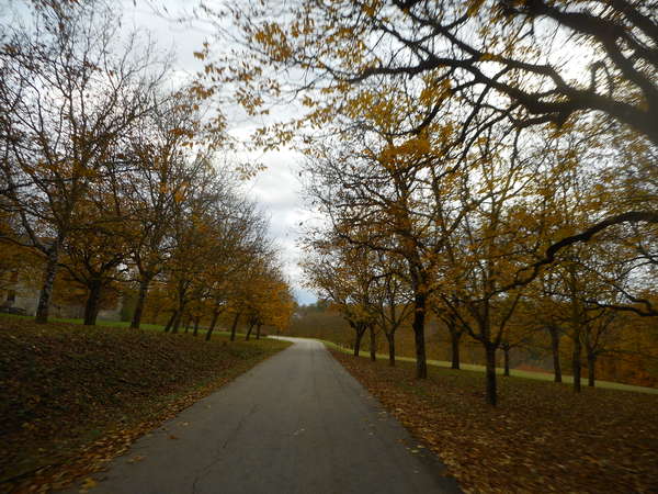 fichier 20181111_0959_d22a_route-0.jpg