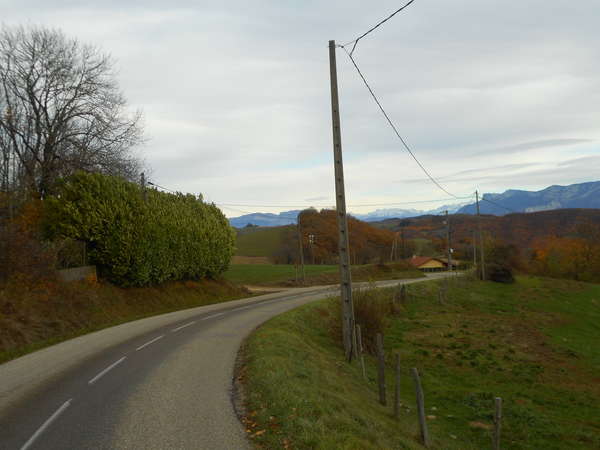 fichier 20181111_1553_001d156_route-0.jpg