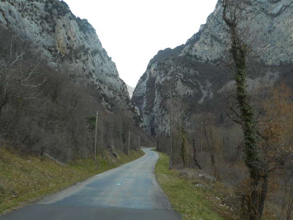 fichier 20190228_1107_d136_route_de_la_foret-0.jpg