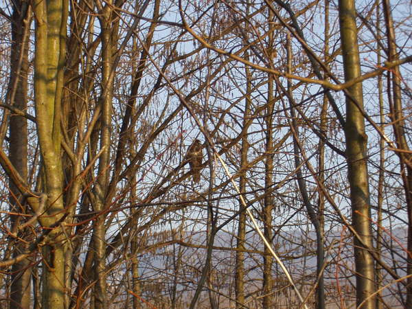 fichier 20080214_1641_001pc_route_carrefour_d45_buse-0.jpg