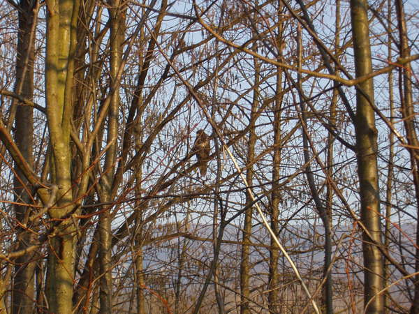 fichier 20080214_1641_003pc_route_carrefour_d45_buse-0.jpg